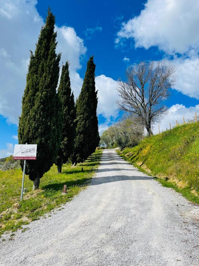 Agriturismo Fraschetta Montalcino Dış mekan fotoğraf