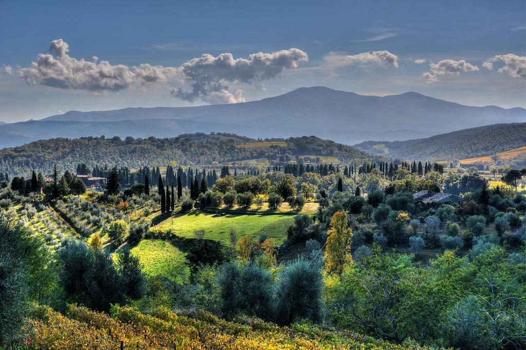 Agriturismo Fraschetta Montalcino Dış mekan fotoğraf
