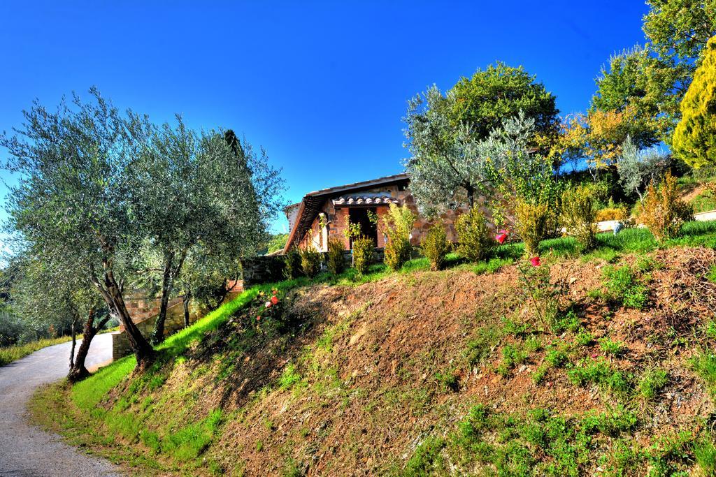 Agriturismo Fraschetta Montalcino Dış mekan fotoğraf