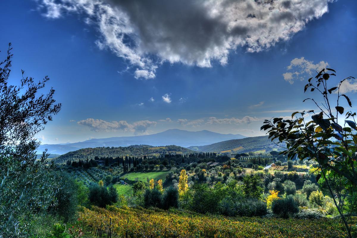 Agriturismo Fraschetta Montalcino Dış mekan fotoğraf